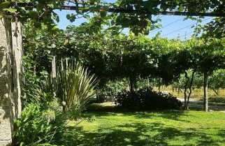 QUINTA DO RIBEIRO Garden House - Foto 56