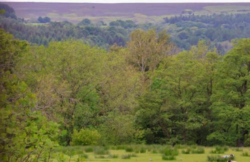 The Grange - Foto 31