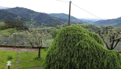 Casa Zita dei fiori - Foto 4