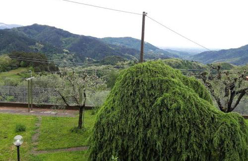 Casa Zita dei fiori - Foto 4