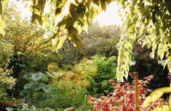 The Artist's Farm - Foto 20