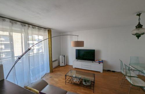 Appartement lumineux Seine, île St-Germain, proche Porte de Versailles et la Défense - Photo 1