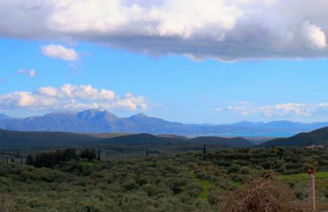 Artemis House - Photo 39