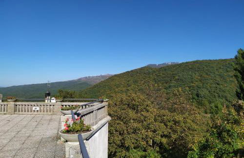 Casa Violina - Foto 2