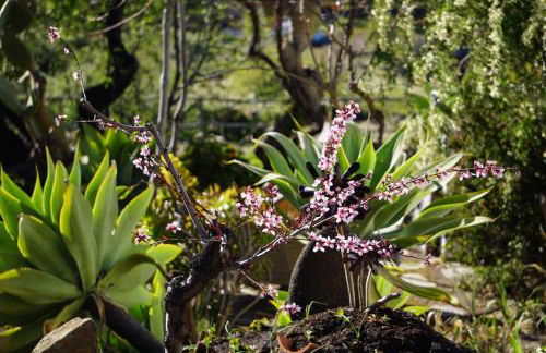 Panorama Suite El Mirador - Foto 36