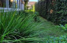 Gramado Garden Centro - Photo 33