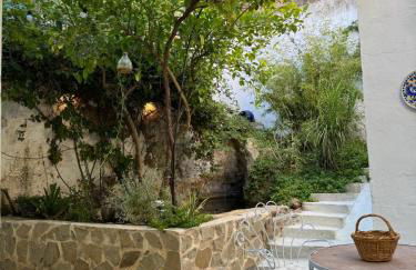 Despertar - Photo 17