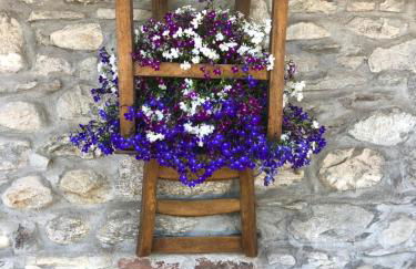 Casa Nonna Elide - Foto 1