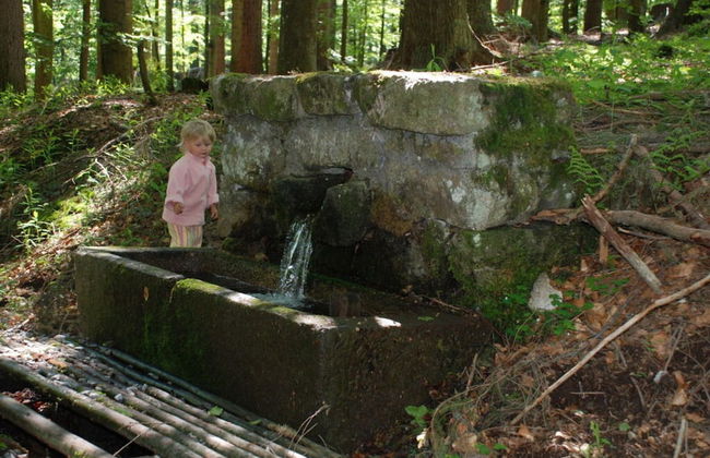 Attractive Apartment in Haidmuhle - Foto 17