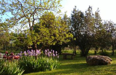 Agriturismo Botro - Foto 14