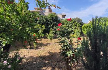 Garden house escape - Foto 22