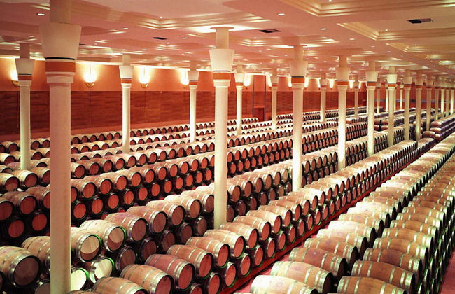 Visita a la finca Valpiedra - Foto 3