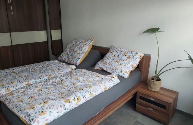 Modern Apartment With Balcony - Photo 3