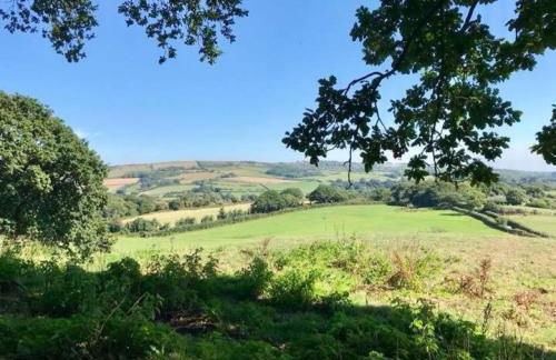 Queen Bower Farm Lodge - Foto 58