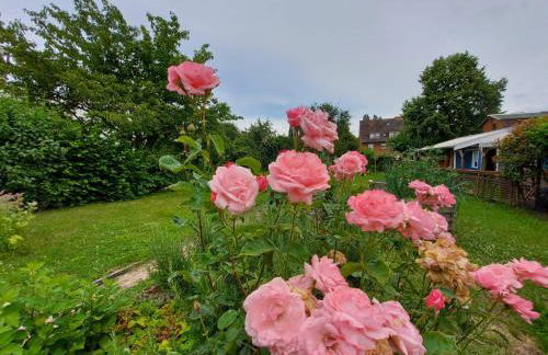 FeWo beim Schlafhaus - Foto 4