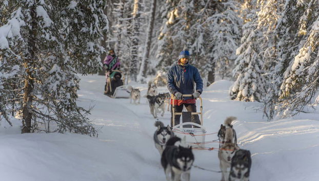 Paseo en trineo de perros husky por Rovaniemi - Foto 3