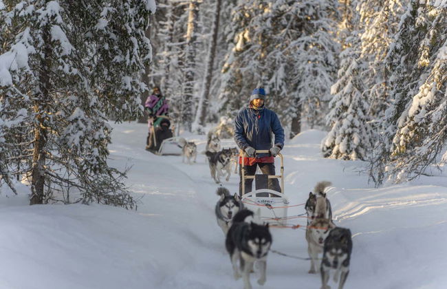 Husky Sleigh Ride - Photo 3