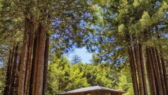 Serenity Grove - Foto 3