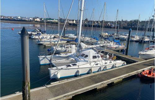 The Wee Sprout - Foto 25