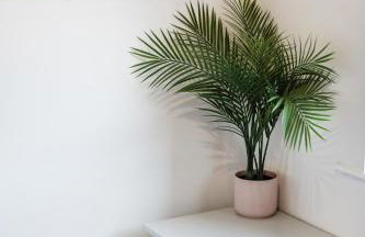 The Heart - Cosy 3 bedroom house with double driveway and Garden in Manchester - Foto 44