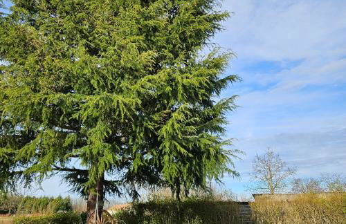 Les Cocons d AleXan Le studio balnéo aromathérapie - Foto 27