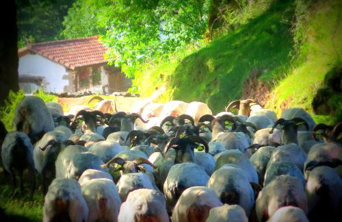 CASA RURAL Urruska - Foto 40