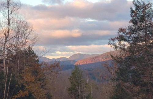 Tin Mountain Treetops Time - Foto 37