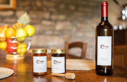 Rustic villa Casa Mazuli with pool in Groznjan - Foto 40