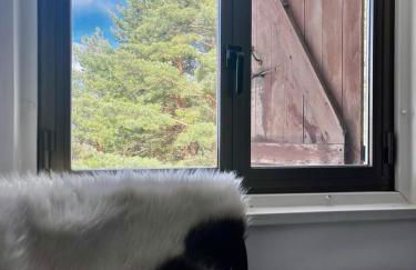 Apartamento LOS CORZOS - LA PINILLA - Foto 9