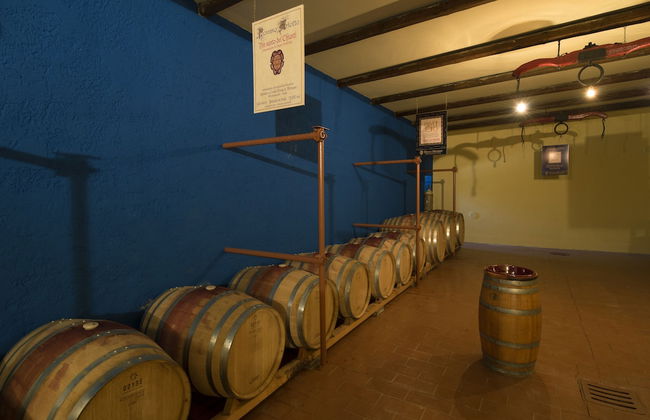 Tenuta Montespertoli - Foto 12