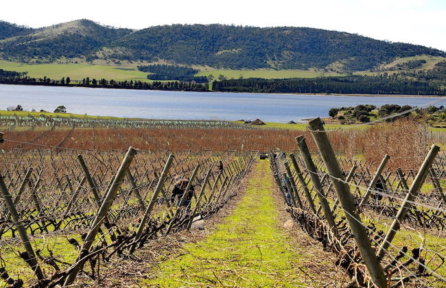 Riversdale Estate Cottages - Foto 32