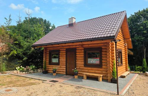 Dom z Bala nad Cieminem - Foto 4