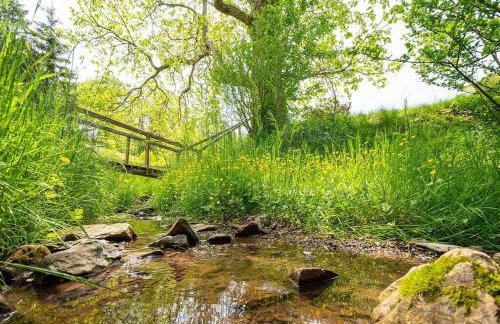 Mountain Serene Views and Creek-side Charm - Pet friendly - Foto 32