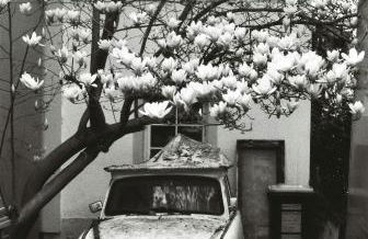 Premium Penthouse W46 Dresden - elbnah, hochwertig, zentral, 3 Schlafzimmer! - Foto 56