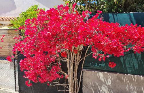 Le Petit Paradis Olivella - Foto 66