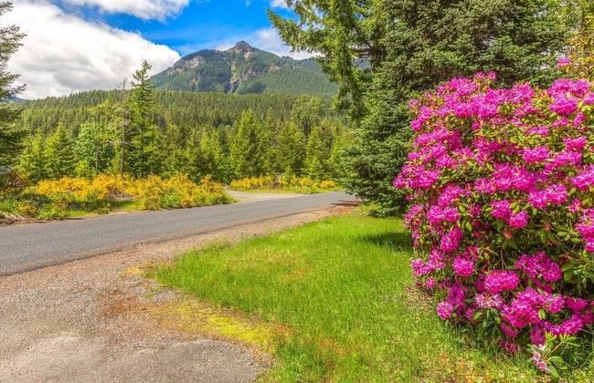 Cottonwood Chalet in Packwood - Foto 28
