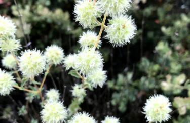 Casa El Encuentro - Turégano Segovia - Foto 8