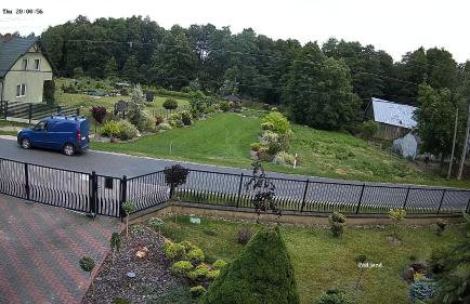 Owocowa Chojnata - Foto 18