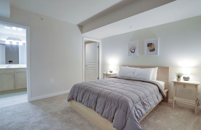 Walkable Alexandria Apts - Photo 8