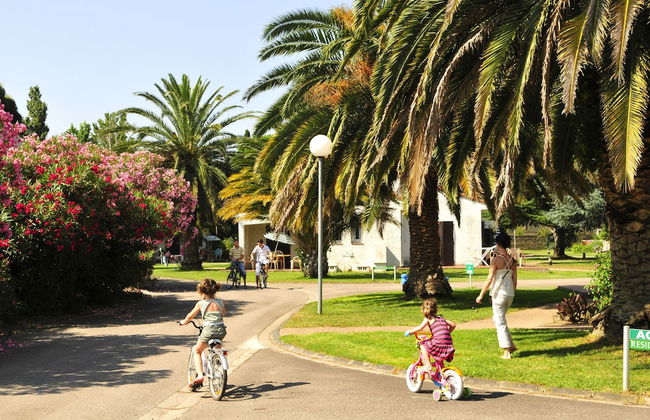 Le Domaine du Mas Blanc by Popinns - Foto 56