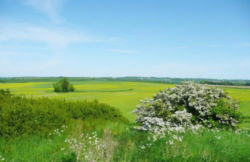 Landhaus Trent Haushälfte Udars - Foto 38