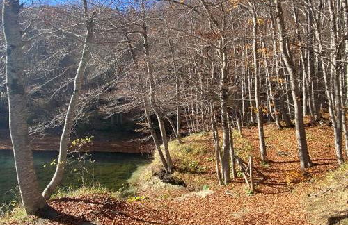 IL RIFUGIO DELL Usignolo - Foto 22