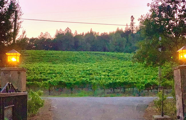 Zegarra Estate - Foto 54