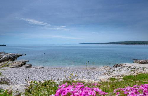Sea apartment by beach Vine, olive oil tasting, kajaks, grill - Photo 26