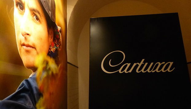 Excursão Particular para Évora visite uma Vinícola com prova de vinho alentejano saindo de Lisboa - Foto 5