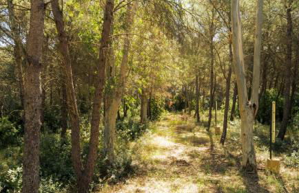 Dèpendance - Lequile - Alfa Country House - Foto 25