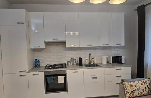 Apartament Mickiewicza - Foto 12