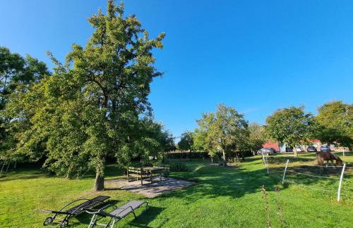 Pugholz Suite - Foto 19