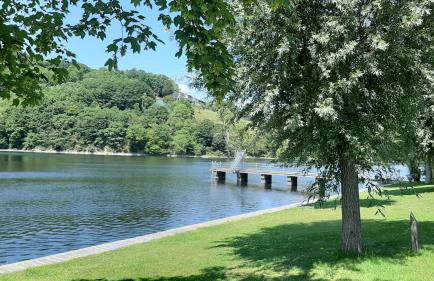Ferienwohnungen Rurseeblick - Foto 76