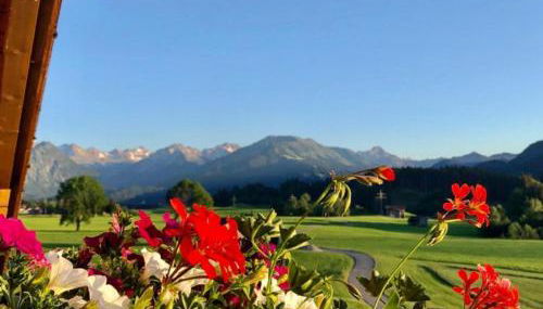 Hemerhof - Ferienwohnungen - Foto 5